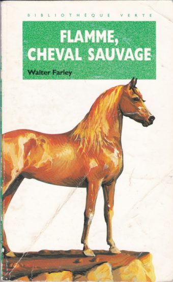 Couverture du livre Flamme : cheval sauvage