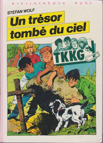 Couverture du livre Un trésor tombé du ciel